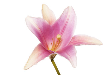 Similar image 1463983