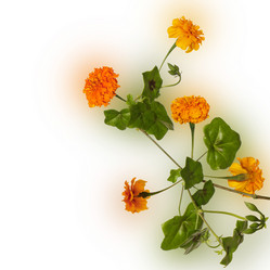 Similar image 1463985