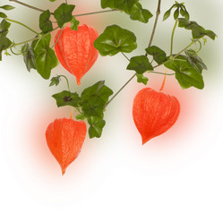 Similar image 1463988