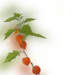 Similar image 1463996