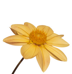 Similar image 1463999