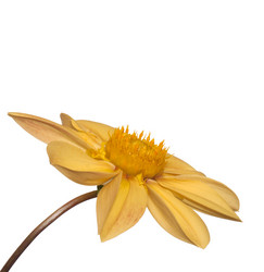 Similar image 1464001