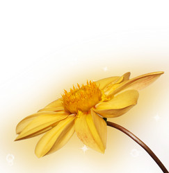 Similar image 1464002