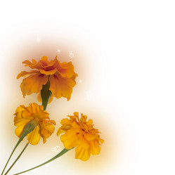 Similar image 1464007