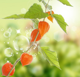 Similar image 1464009