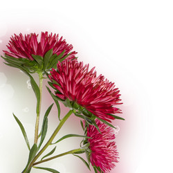 Similar image 1464012