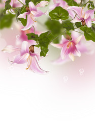 Similar image 1464013