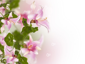 Similar image 1464014