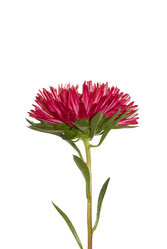 Similar image 1464015