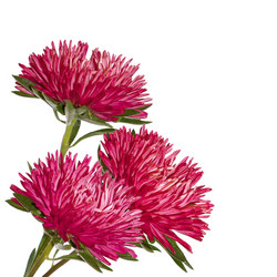 Similar image 1464016