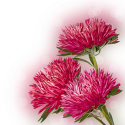 Similar image 1464017