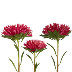 Similar image 1464018