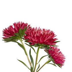 Similar image 1464020