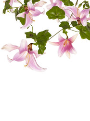 Similar image 1464021