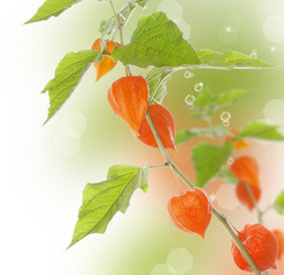 Similar image 1464025