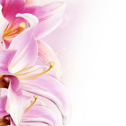 Similar image 1464027