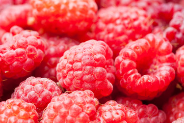 Similar image 1464115