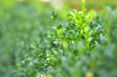 Similar image 1464332