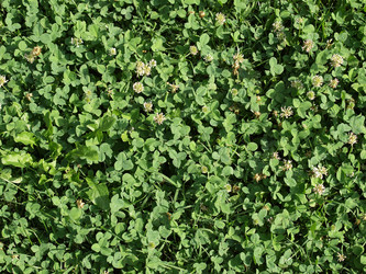 Similar image 1464414