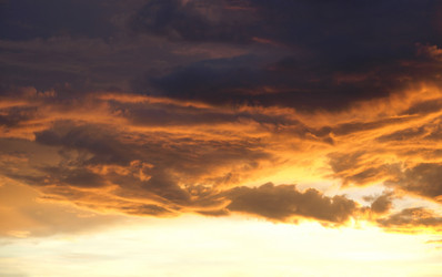 Similar image 1464455