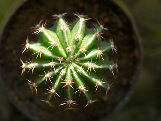 Similar image 1464483