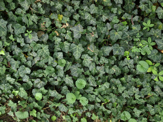 Similar image 1464492