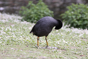 Similar image 1464551