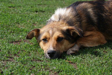 Similar image 1464589