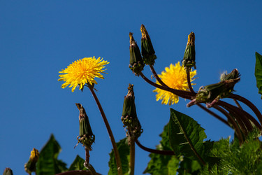 Similar image 1464619