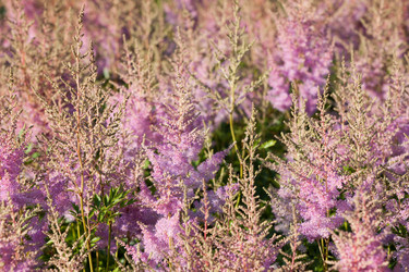 Similar image 1464620