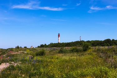 Similar image 1464623