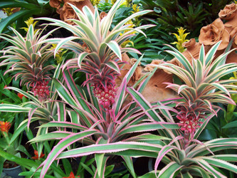 Similar image 1464641