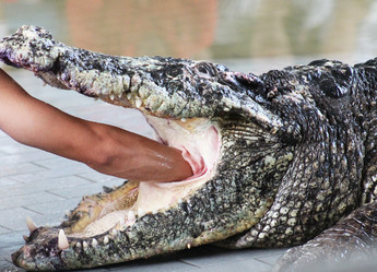 Similar image 1464647