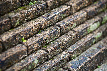 Similar image 1464660