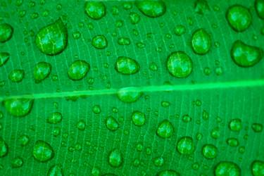 Similar image 1464664