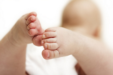 Similar image 1464690