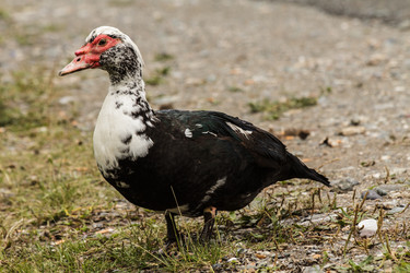 Similar image 1464691