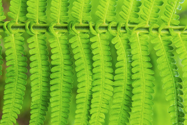 Similar image 1464706