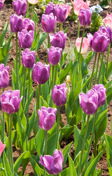 Similar image 1464736