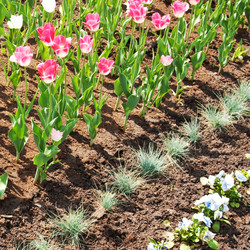 Similar image 1464737