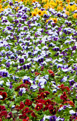 Similar image 1464745