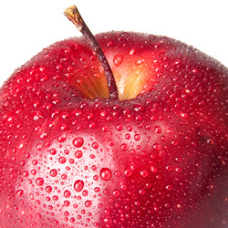 Similar image 1464747