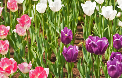 Similar image 1464750