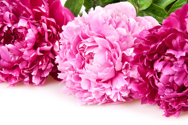 Similar image 1464753