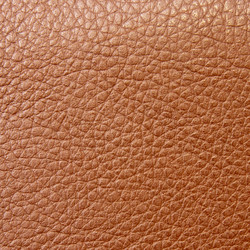 Similar image 1464755