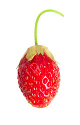 Similar image 1464757