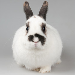 Similar image 1464761