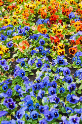 Similar image 1464766