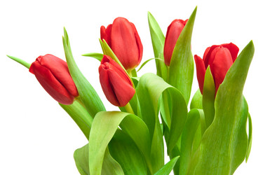 Similar image 1464771