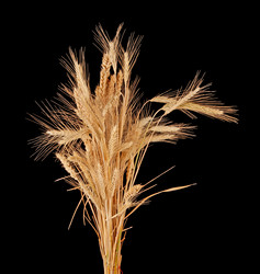 Similar image 1464775